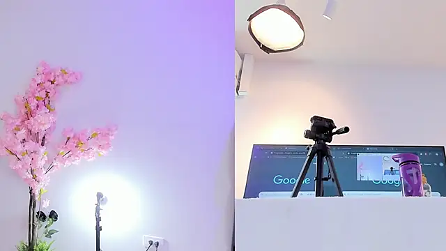 maily zanss online show from January 31, 2026, 7:45 pm