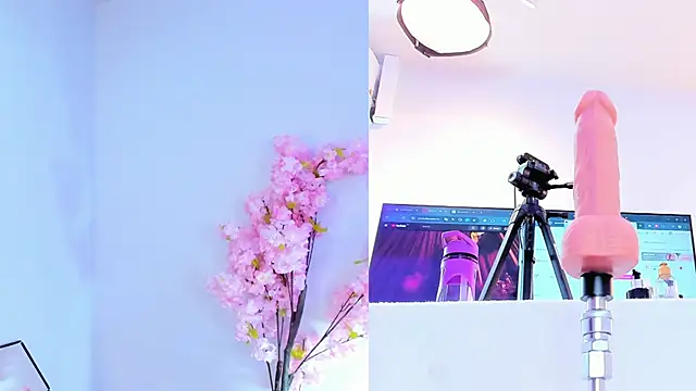 maily zanss online show from March 4, 2026, 7:43 pm