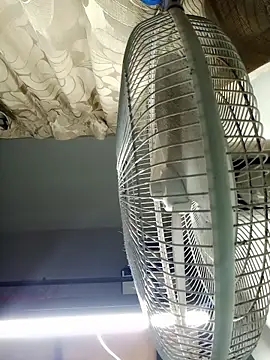 HarryChoudhary21 online show from November 3, 2025, 12:42 pm