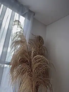 Snapshot of Sofi_Leal chatting on November 26, 2025, 1:00 pm Sofi Leal online show from November 26, 2025, 1:00 pm