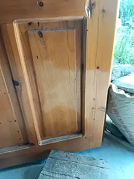 Tiyir597 online show from September 20, 2025, 7:46 am