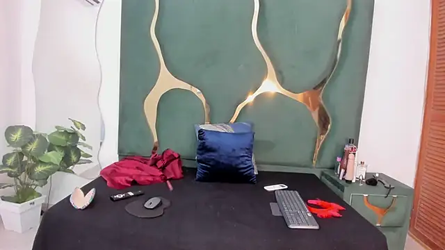 Snapshot of perlaasm chatting on October 20, 2025, 12:17 pm perlaasm online show from October 20, 2025, 12:17 pm