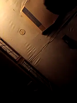 Snapshot of ShawnandDani7074 chatting on February 4, 2026, 5:46 am ShawnandDani7074 online show from February 4, 2026, 5:46 am