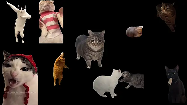 Snapshot of ch0wn_m chatting on October 24, 2025, 10:47 am ch0wn m online show from October 24, 2025, 10:47 am