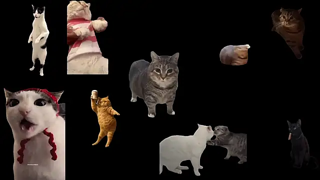 Snapshot of ch0wn_m chatting on October 3, 2025, 12:50 pm ch0wn m online show from October 3, 2025, 12:50 pm