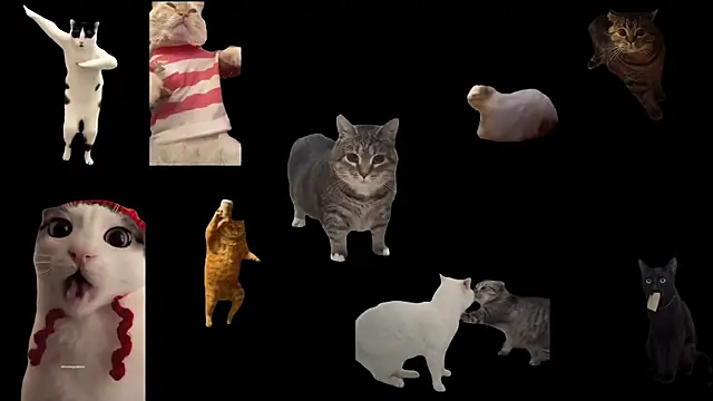 Snapshot of ch0wn_m chatting on September 20, 2025, 11:59 am ch0wn m online show from September 20, 2025, 11:59 am