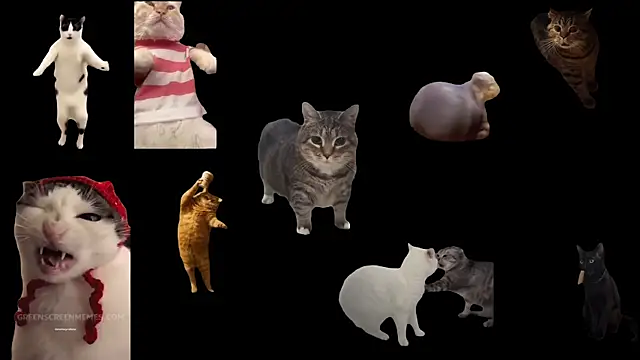 Snapshot of ch0wn_m chatting on November 14, 2025, 1:15 pm ch0wn m online show from November 14, 2025, 1:15 pm