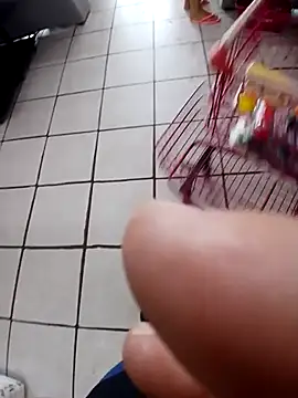 cicinha3657 online show from February 20, 2026, 6:32 pm