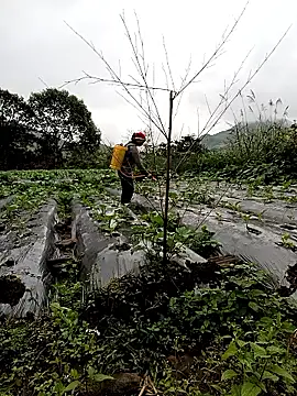 Snapshot of Exembin chatting on October 24, 2025, 1:59 am Exembin online show from October 24, 2025, 1:59 am