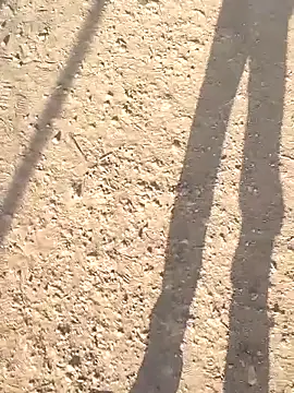 Snapshot of sonotutto chatting on October 8, 2025, 7:54 am sonotutto online show from October 8, 2025, 7:54 am