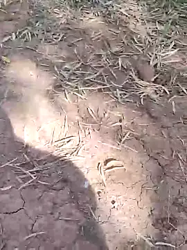 Snapshot of sonotutto chatting on October 13, 2025, 10:28 am sonotutto online show from October 13, 2025, 10:28 am