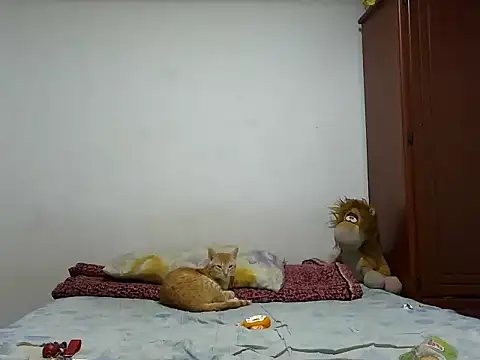 MeganAndMaxxh online show from October 28, 2025, 12:33 am