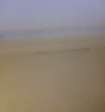 ramesh65 online show from January 14, 2026, 8:34 pm