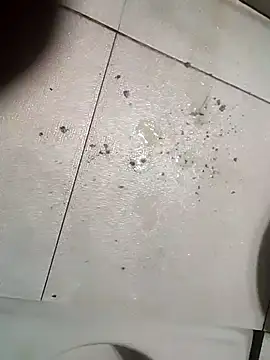 Xharmakesyoufeelorgasms online show from January 12, 2026, 12:01 pm