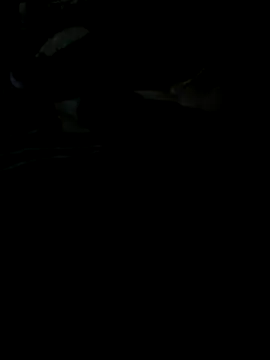 Reeelo online show from November 28, 2025, 4:07 pm