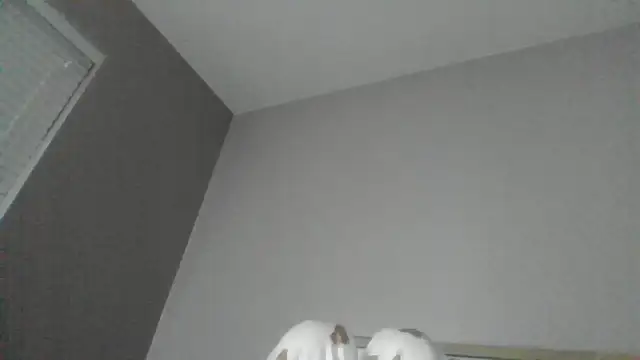 SexyKatiex online show from December 2, 2025, 9:49 pm