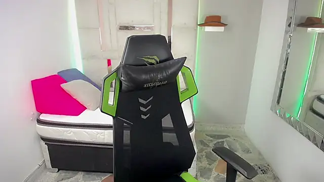 Snapshot of Stein_ chatting on November 11, 2025, 8:47 pm Stein online show from November 11, 2025, 8:47 pm