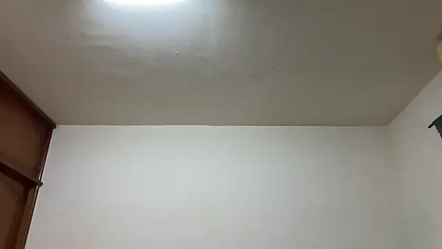 Foxfoxfox4 online show from February 17, 2026, 3:31 pm