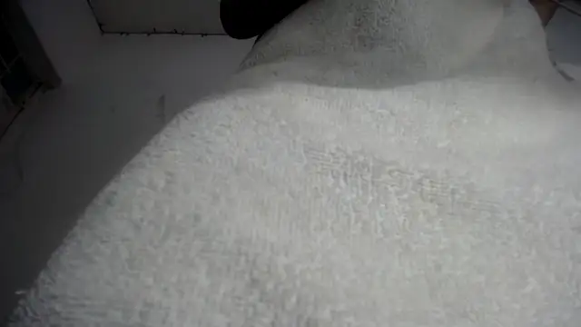 Foxy Lovex online show from February 7, 2026, 10:18 pm