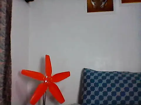 nhayasquirt online show from October 28, 2025, 9:30 am