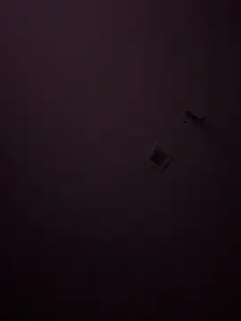 Cazzo1921 online show from April 28, 2026, 7:40 pm