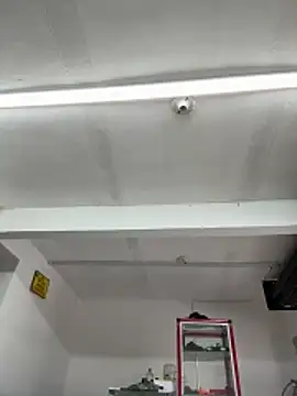 Terra-22cm online show from April 13, 2026, 1:37 pm