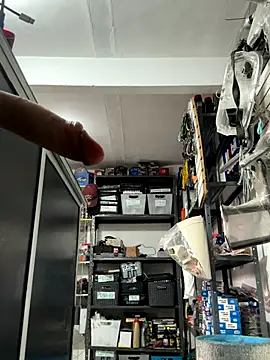 Terra-22cm online show from September 20, 2025, 3:06 pm