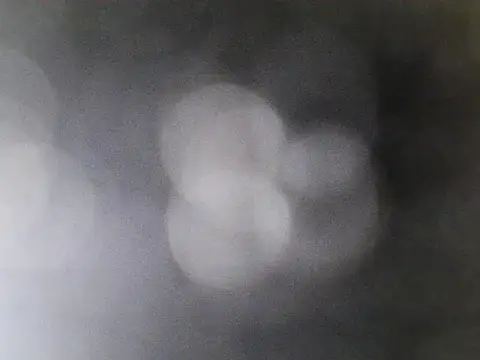 Snapshot of Asian_PrettyAle chatting on February 21, 2026, 1:40 am Asian PrettyAle online show from February 21, 2026, 1:40 am