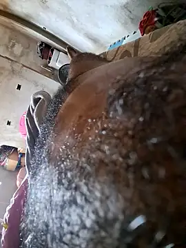 Snapshot of Negodabenga chatting on October 18, 2025, 12:40 pm Negodabenga online show from October 18, 2025, 12:40 pm