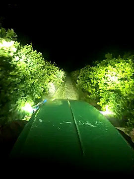 Anonimato0777 online show from February 12, 2026, 11:48 pm