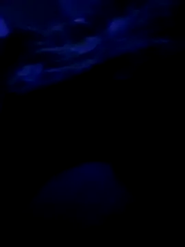 Snapshot of Georgerazvan1989 chatting on January 14, 2026, 6:17 am Georgerazvan1989 online show from January 14, 2026, 6:17 am