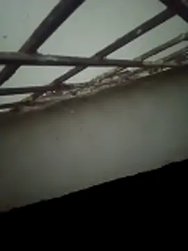 Snapshot of Daisygirl9 chatting on October 22, 2025, 9:35 pm Daisygirl9 online show from October 22, 2025, 9:35 pm