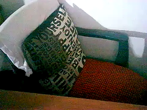 sacptjock83 online show from December 17, 2025, 8:58 pm