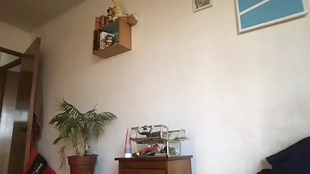 gatalatina333 online show from January 12, 2026, 10:58 pm