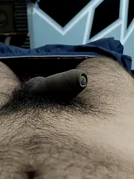 Bull54321 online show from September 11, 2025, 5:18 am