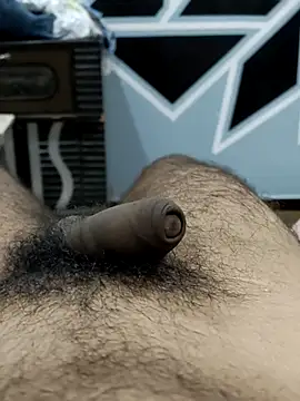 Bull54321 online show from September 10, 2025, 4:22 am