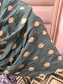 Snapshot of Indian-Aleena chatting on February 17, 2026, 5:27 am Indian-Aleena online show from February 17, 2026, 5:27 am