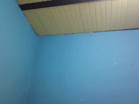 chanito 1421 online show from November 29, 2025, 7:25 pm