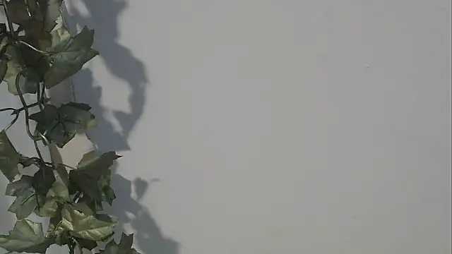 angelainparis28 online show from October 5, 2025, 8:16 am