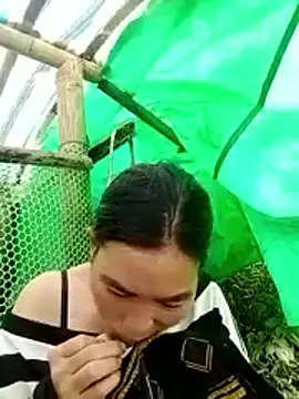 Snapshot of cicnci chatting on November 12, 2025, 3:10 am cicnci online show from November 12, 2025, 3:10 am