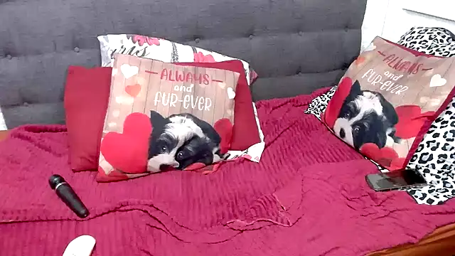 chockclitx5 online show from February 17, 2026, 2:31 am