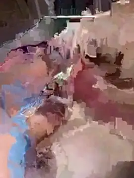 erick gonzalo online show from November 5, 2025, 3:15 pm