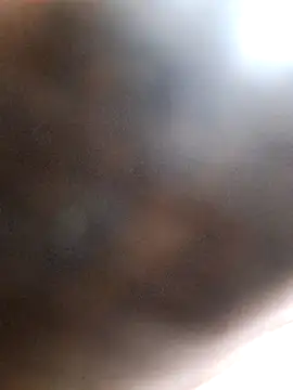 Snapshot of Carlosshaefer chatting on February 12, 2026, 4:51 pm Carlosshaefer online show from February 12, 2026, 4:51 pm