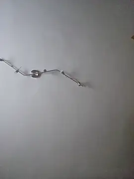 Hamutip online show from October 31, 2025, 12:46 pm