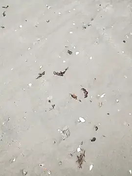 Snapshot of sarahkat86 chatting on April 6, 2026, 4:52 pm sarahkat86 online show from April 6, 2026, 4:52 pm