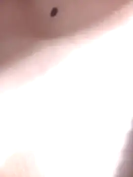 LINA-DALOUA online show from November 28, 2025, 3:12 pm