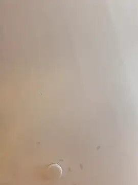 Foxxy Doll online show from October 2, 2025, 2:31 pm