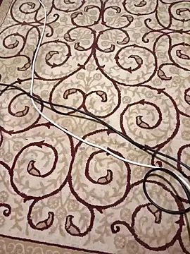 bullut06 online show from November 9, 2025, 2:59 am