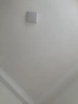 JuanitaMore01 online show from October 23, 2025, 8:51 pm