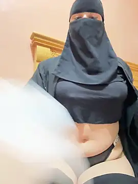 Snapshot of _Laiali_ chatting on February 19, 2026, 8:17 pm Laiali online show from February 19, 2026, 8:17 pm